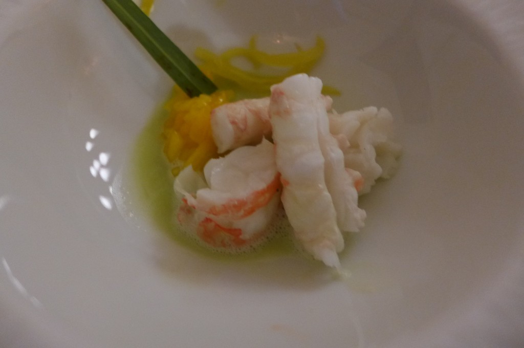 Langoustines puces © GP