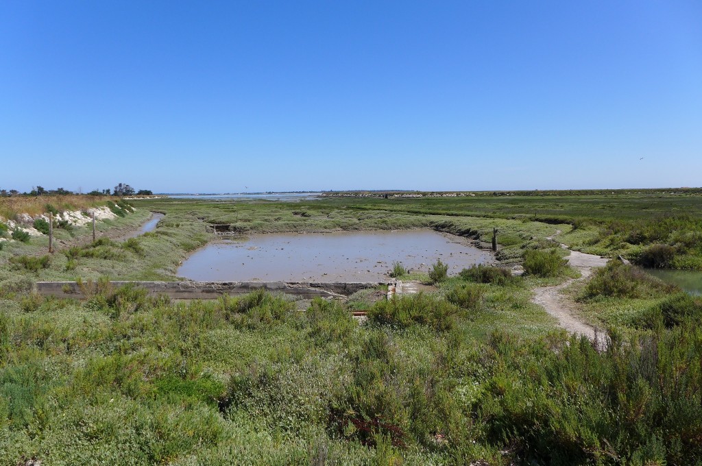 Paysage des marais © GP
