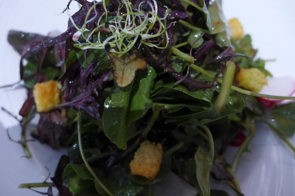 Mesclun de salades © GP