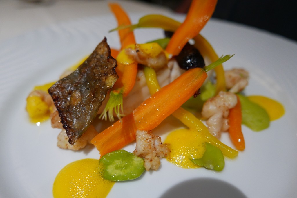Turbot © GP