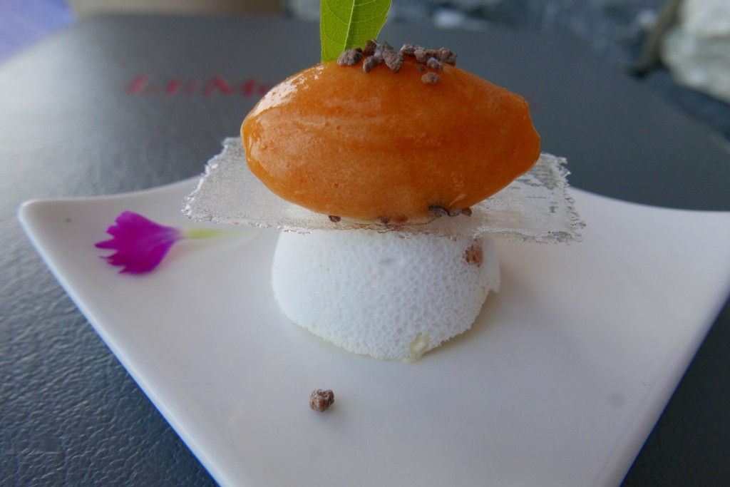 Vacherin glacé, verveine, abricot © GP