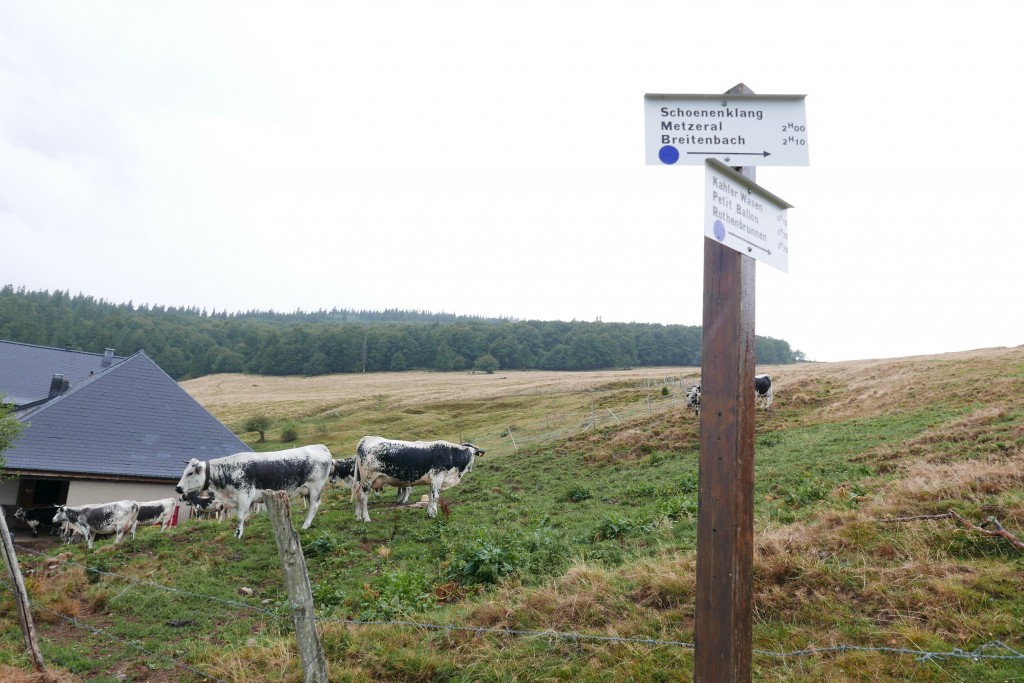 Vue au-dessus de la ferme-auberge © GP