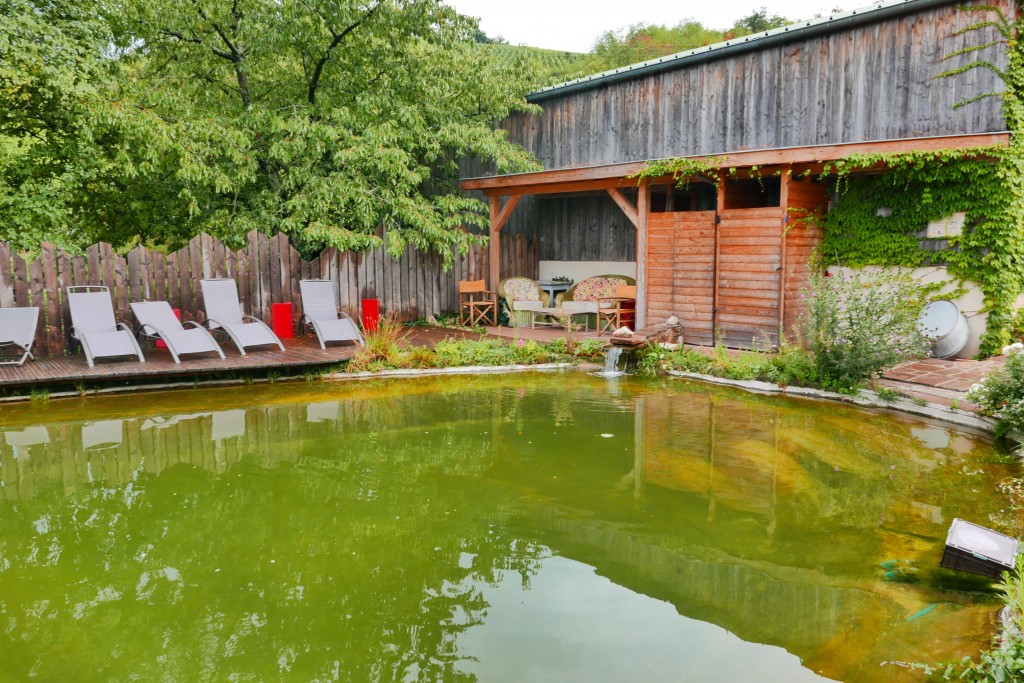 La piscine naturelle © GP