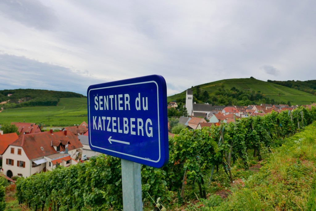 Dans les vignes © GP