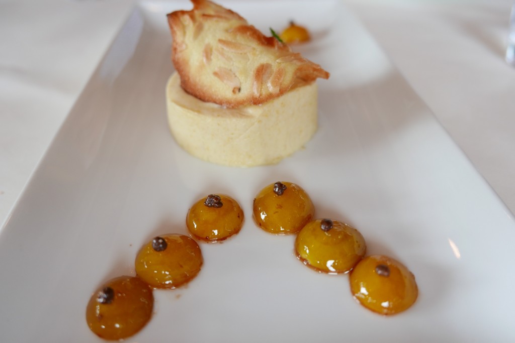 Délice de mousse mirabelle © GP