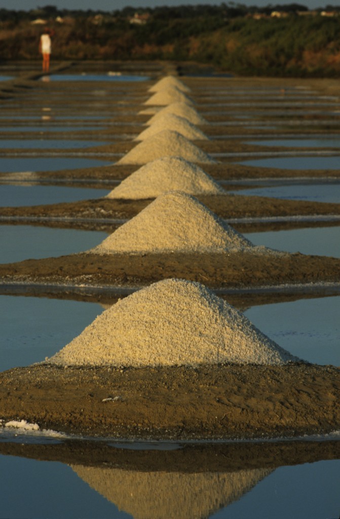 Europe/France/Pays-de-la-Loire/Vendée/Ile de Noirmoutier: Tas de sel sur un marais salant