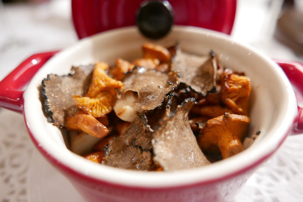 Cassolette de champignons © GP