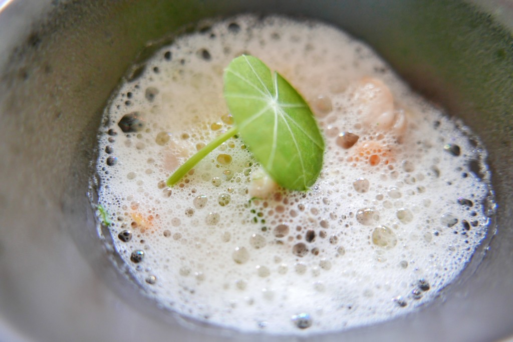 Blanquette de grenouilles © GP