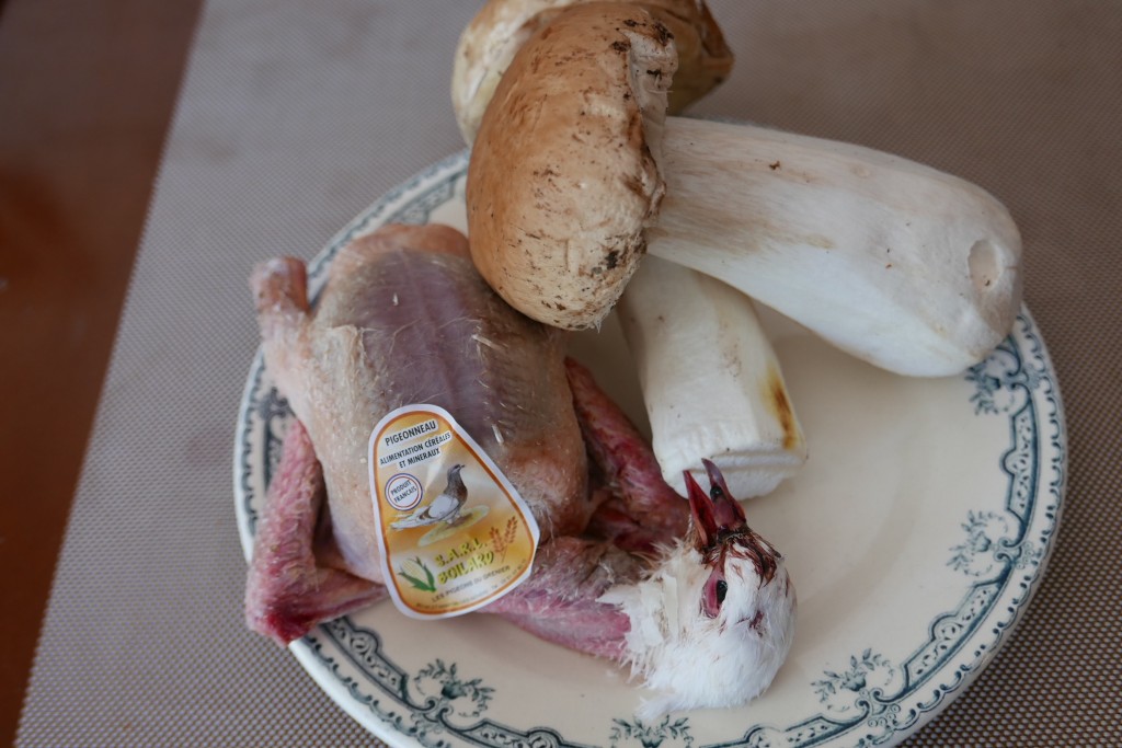 Pigeon et cèpes © GP