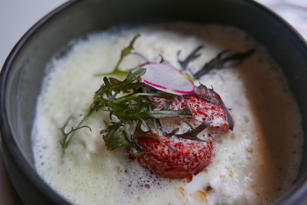 Mozzarella tiédie © GP