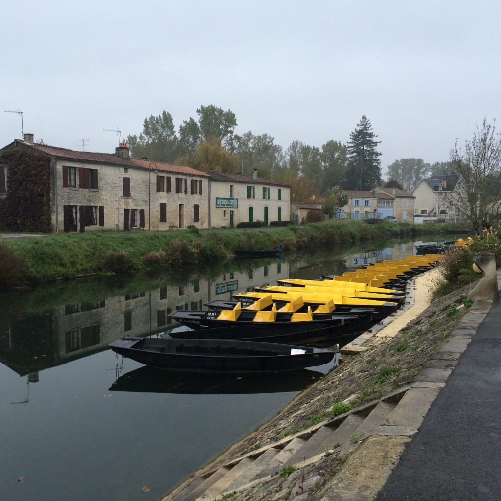 Vue sur le marais © GP