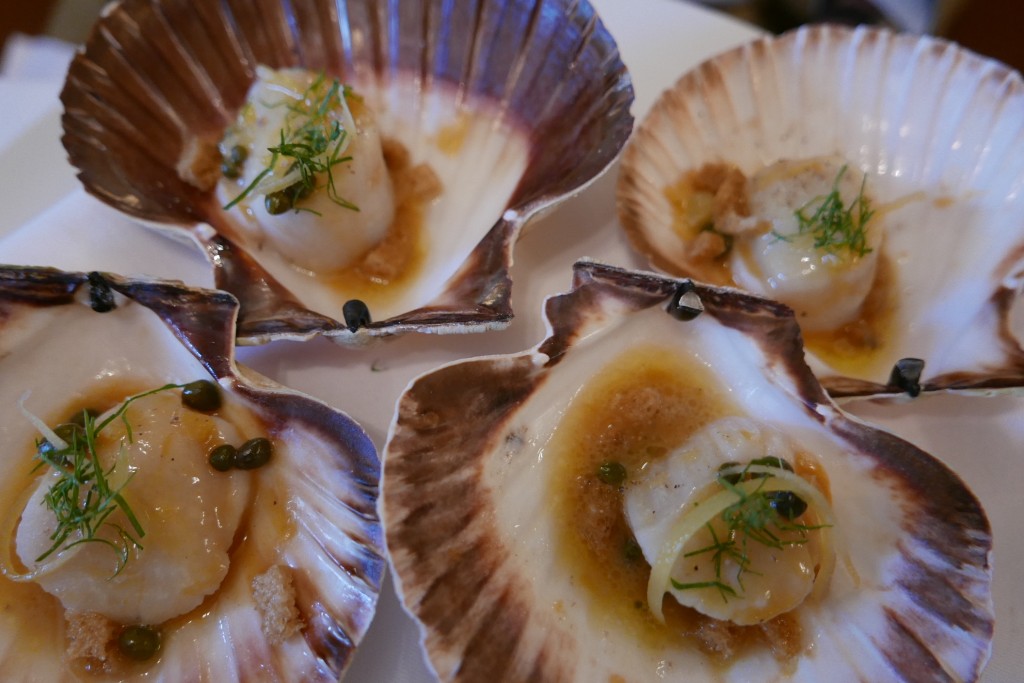 Saint-jacques en coquilles © GP