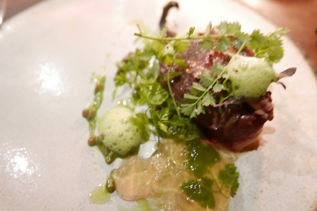 Petit canard, blé vert © GP