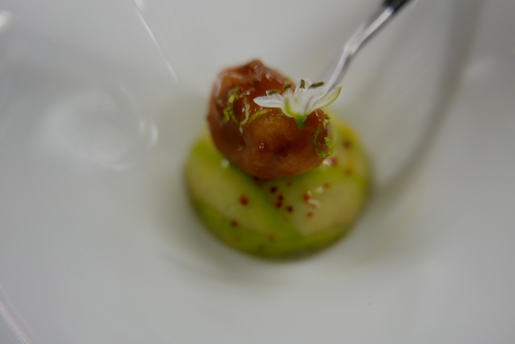 Crabe et avocat © GP