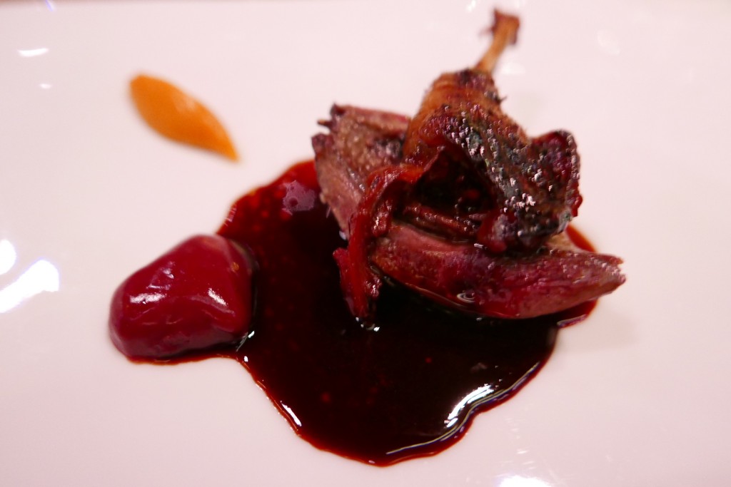 Pigeon d'Anjou © GP