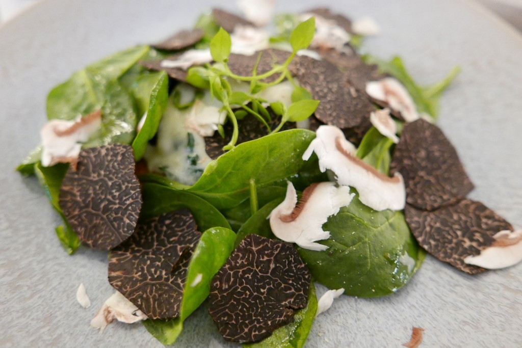 Oeuf Bénédicte aux truffes © GP