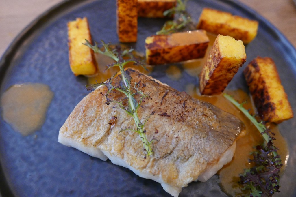 Merlan, polenta, curry © GP