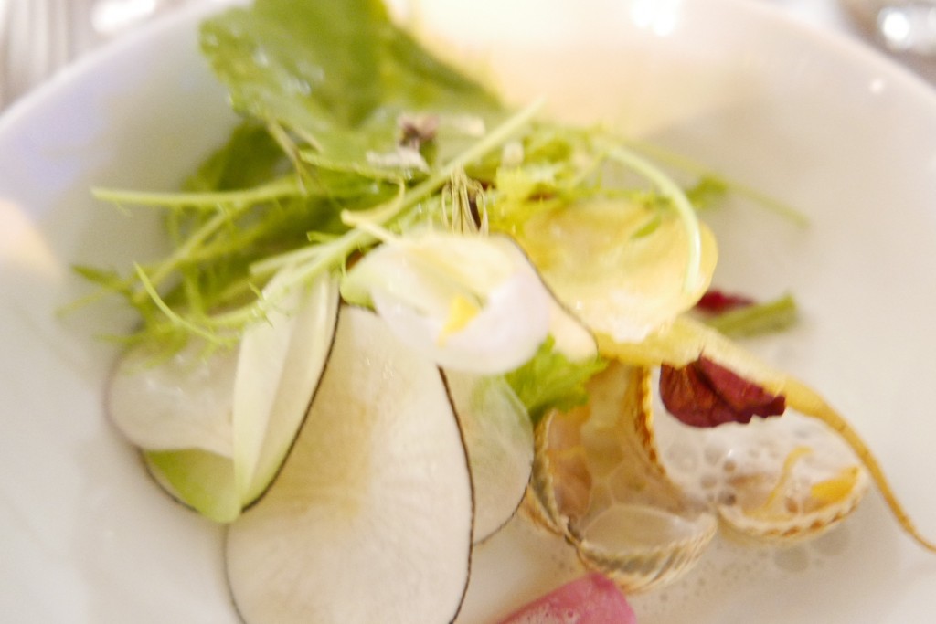 Légumes et coquillages © GP