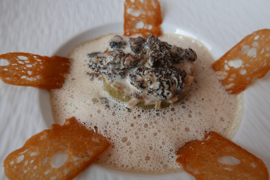 Gâteau de foies blonds et morilles © GP