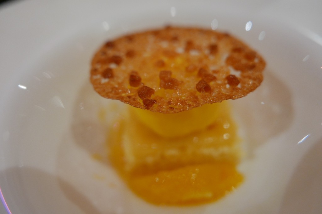 Délice d'orange © GP