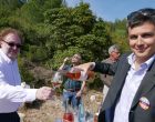 Les 80 ans de Cassis : la fête d&rsquo;une appellation joyeuse