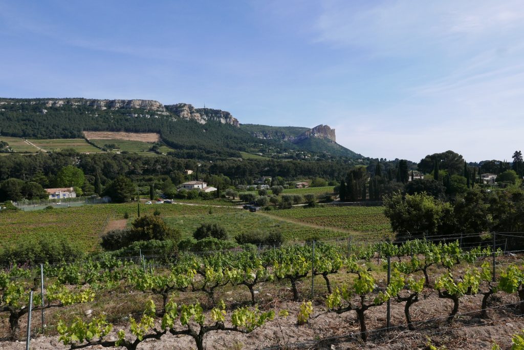 Les vignes face au massif rocheux © GP