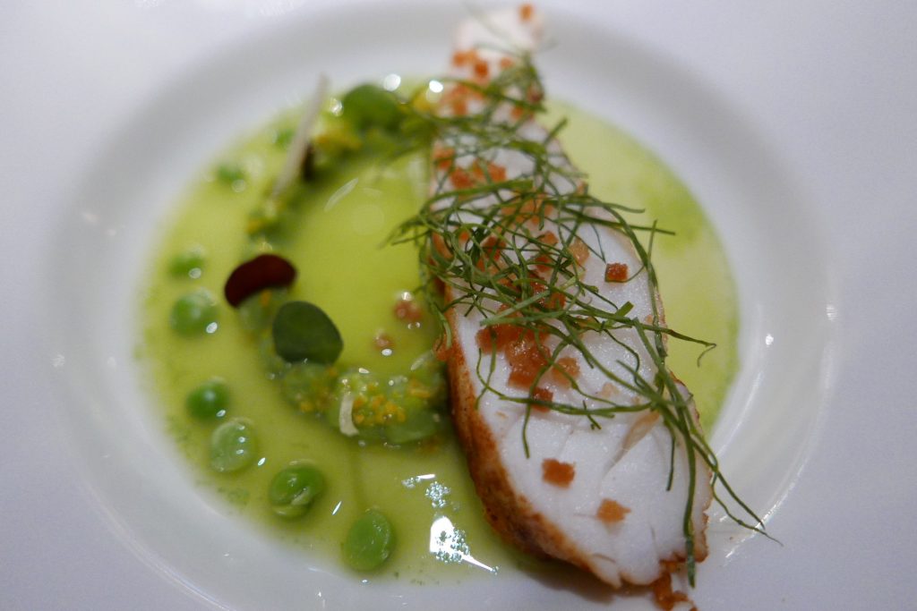 Turbot et petits pois © GP