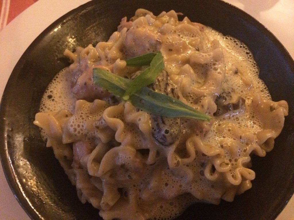 Dentelles, sot l'y laisse et morilles © GP