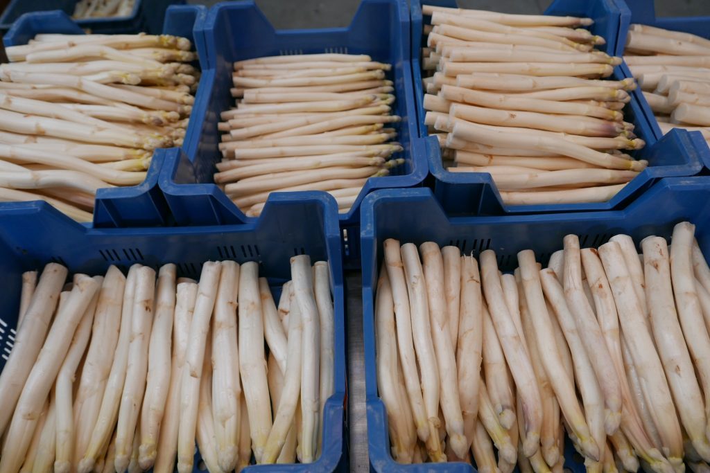Les asperges © GP