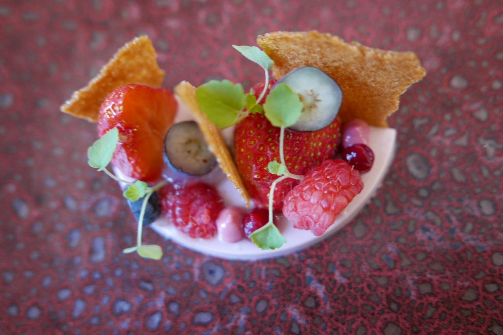 Panna cotta aux fruits rouges © GP