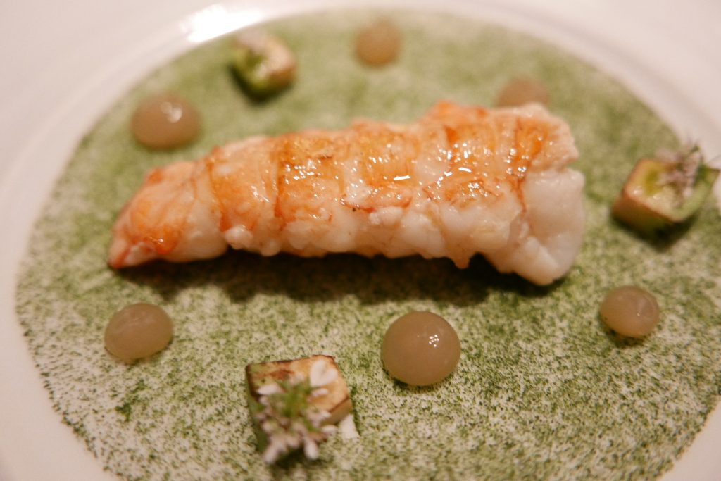 Langoustine © GP