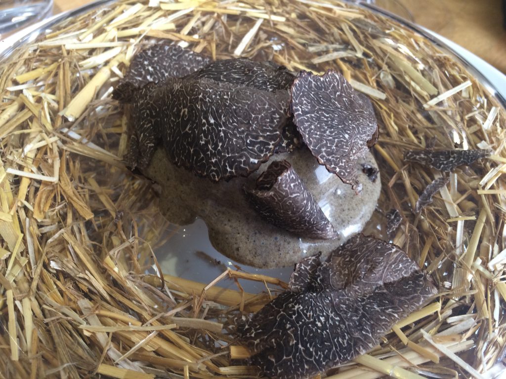 Oeuf "pourri" de truffe © GP