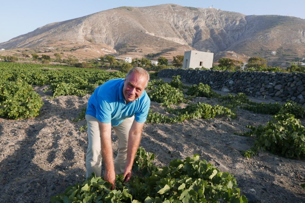 Stefanos Georgas dans les vignes © GP