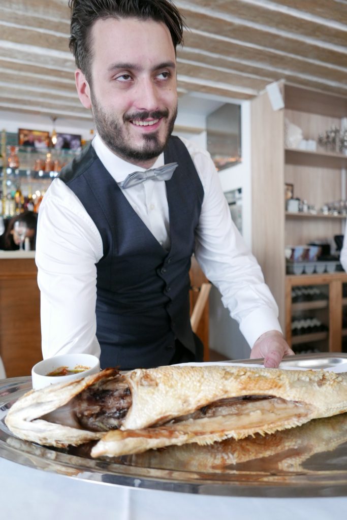 Service du loup © GP