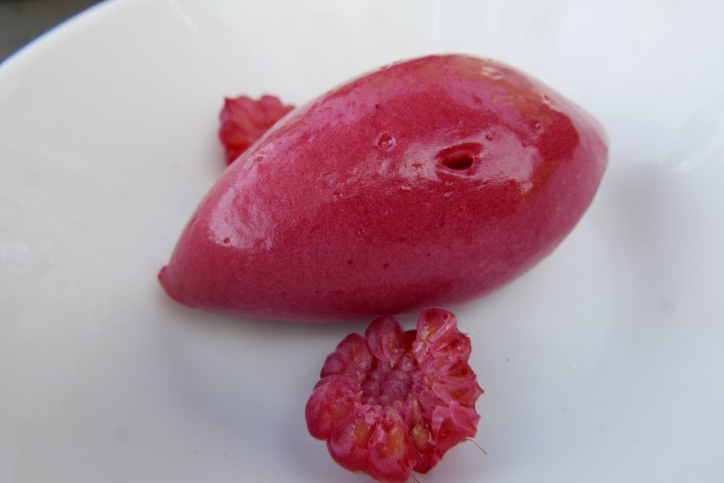 Sorbet fruits rouges © GP