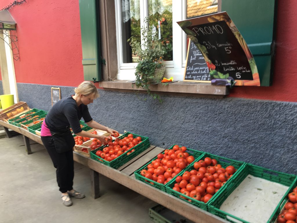 Les tomates © GP