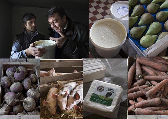 V7