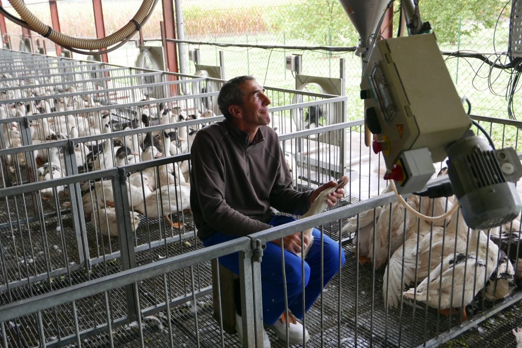 Un fermier au gavache © GP