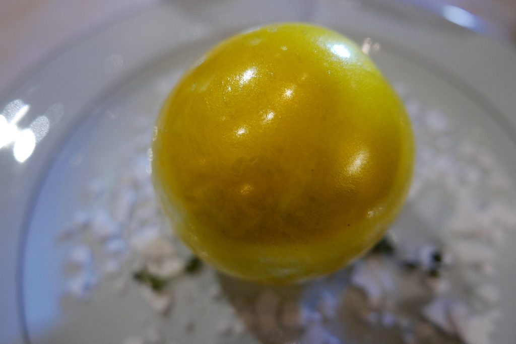 Thym citron © GP