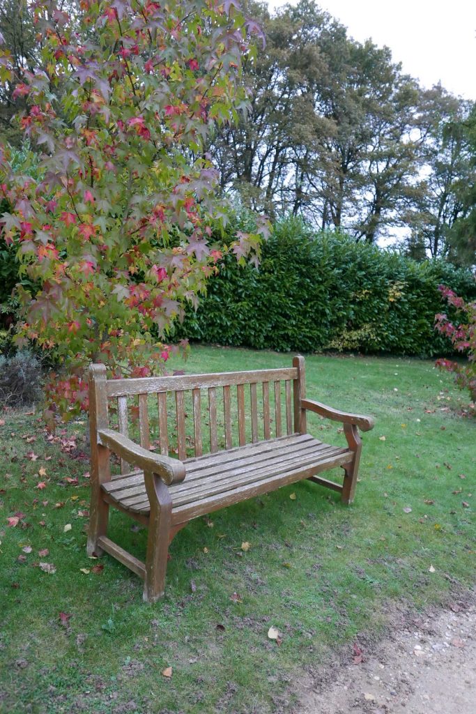 Dans le parc © GP