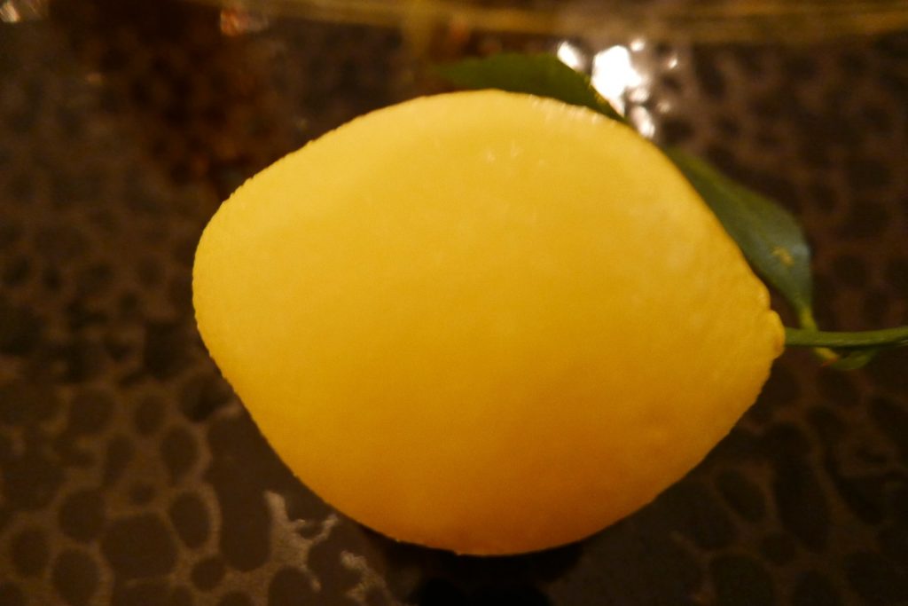 Citron confit Bachès © GP