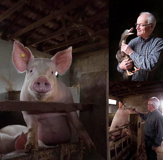 Charles Keff avec son canard et ses cochons © Maurice Rougemont