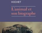 Stéphanie et son minotaure