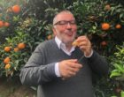 Fès-M&rsquo;Kansa : les beaux agrumes de Laurent Boughaba
