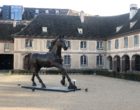 Hôtel Les Haras - Strasbourg