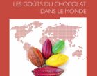 Le chocolat dans tous ses Etats