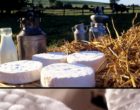 Coulommiers : Maurice Rougemont retrouve le goût du fromage d&rsquo;avant