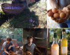 Saint-Cézaire-sur-Siagne : Julien Ancel vu par Maurice Rougemont