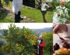Grasse : Jacques Chibois vu par Maurice Rougemont