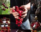 Le temps des cerises vu par Maurice Rougemont